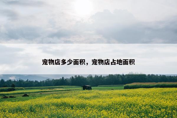 宠物店多少面积，宠物店占地面积