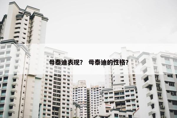 母泰迪表现？ 母泰迪的性格？