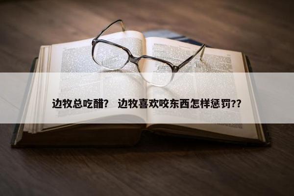 边牧总吃醋？ 边牧喜欢咬东西怎样惩罚?？