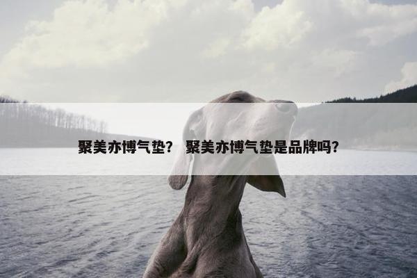 聚美亦博气垫？ 聚美亦博气垫是品牌吗？