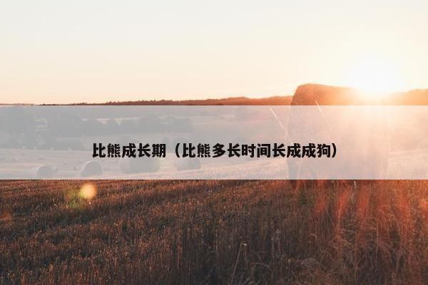比熊成长期（比熊多长时间长成成狗）