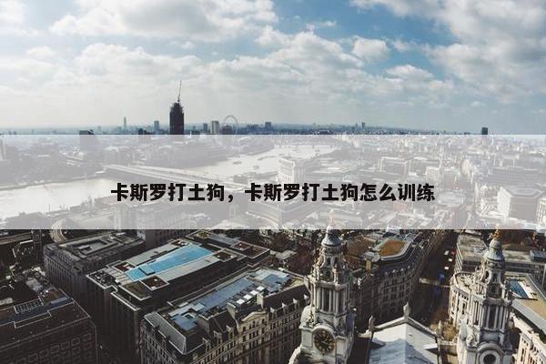 卡斯罗打土狗，卡斯罗打土狗怎么训练