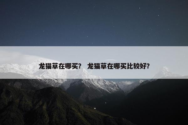 龙猫草在哪买？ 龙猫草在哪买比较好？