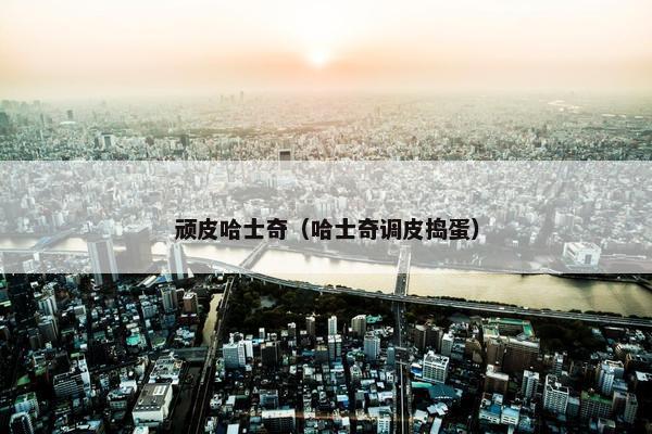 顽皮哈士奇（哈士奇调皮捣蛋）