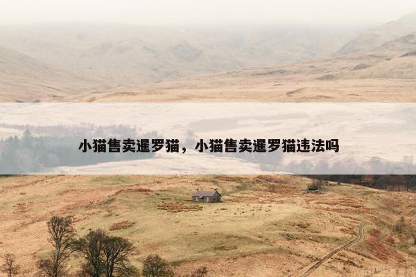 小猫售卖暹罗猫，小猫售卖暹罗猫违法吗