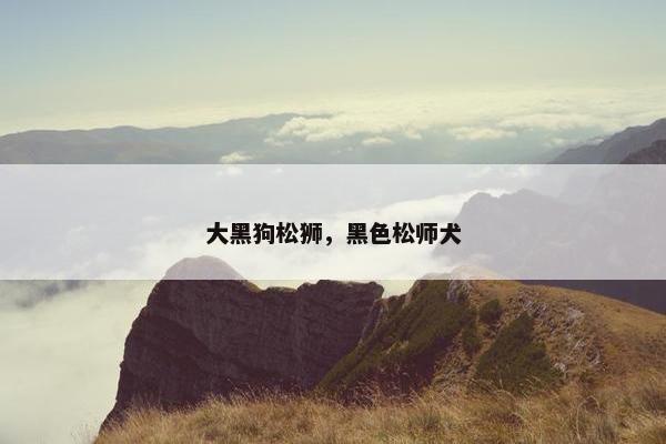 大黑狗松狮，黑色松师犬