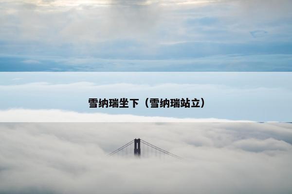 雪纳瑞坐下（雪纳瑞站立）