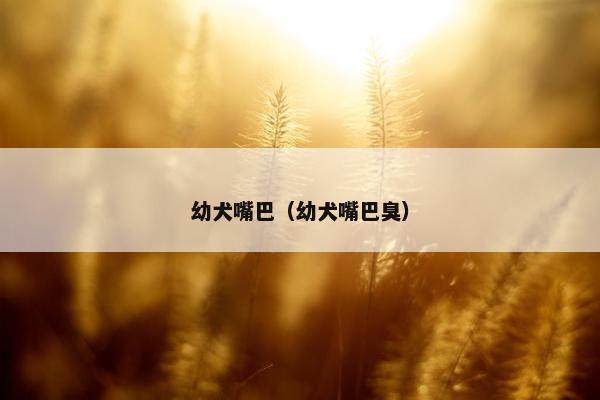 幼犬嘴巴（幼犬嘴巴臭）