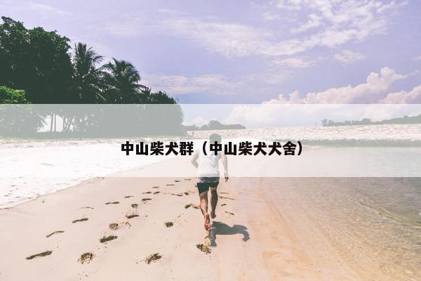 中山柴犬群（中山柴犬犬舍）