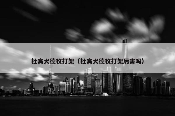 杜宾犬德牧打架（杜宾犬德牧打架厉害吗）