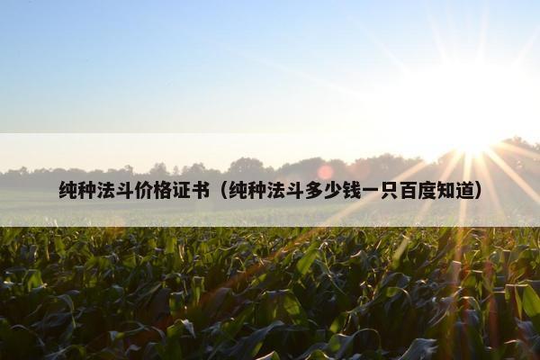 纯种法斗价格证书（纯种法斗多少钱一只百度知道）