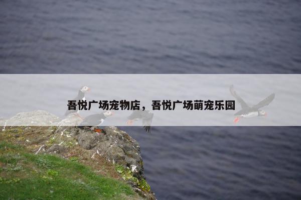 吾悦广场宠物店，吾悦广场萌宠乐园