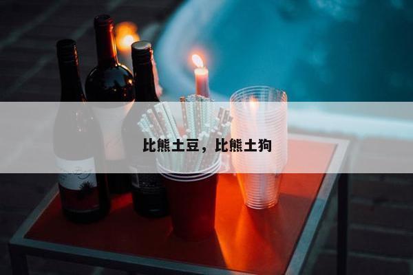 比熊土豆，比熊土狗