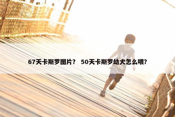 67天卡斯罗图片？ 50天卡斯罗幼犬怎么喂？