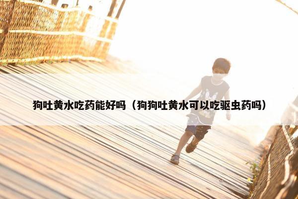 狗吐黄水吃药能好吗（狗狗吐黄水可以吃驱虫药吗）