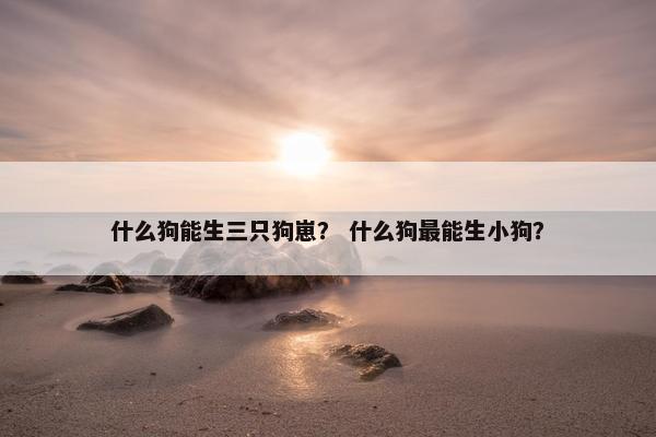什么狗能生三只狗崽？ 什么狗最能生小狗？