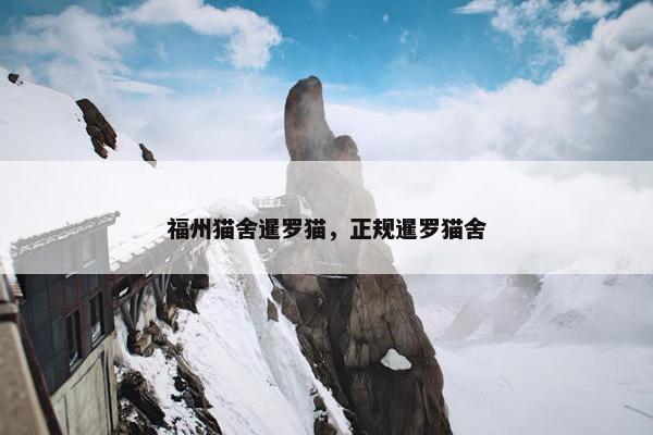 福州猫舍暹罗猫，正规暹罗猫舍