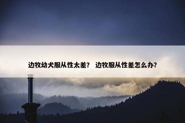 边牧幼犬服从性太差？ 边牧服从性差怎么办？