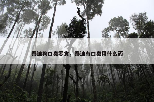 泰迪狗口臭零食，泰迪有口臭用什么药