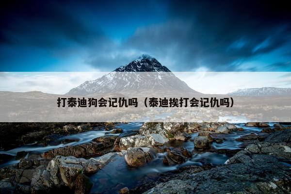 打泰迪狗会记仇吗（泰迪挨打会记仇吗）