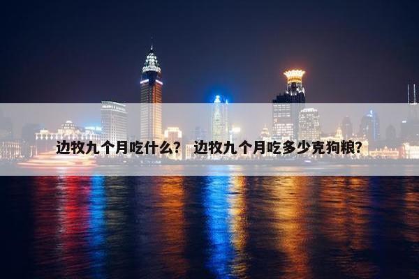 边牧九个月吃什么？ 边牧九个月吃多少克狗粮？