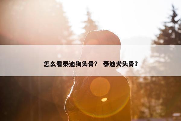 怎么看泰迪狗头骨？ 泰迪犬头骨？