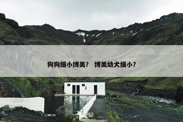 狗狗细小博美？ 博美幼犬细小？