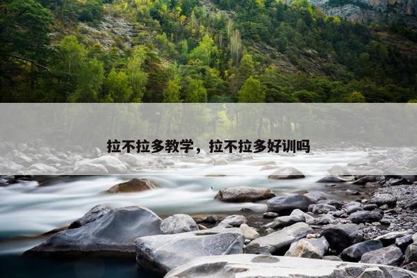 拉不拉多教学，拉不拉多好训吗