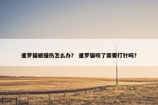 暹罗猫被撞伤怎么办？ 暹罗猫咬了需要打针吗？