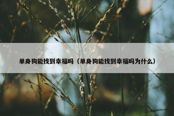 单身狗能找到幸福吗（单身狗能找到幸福吗为什么）
