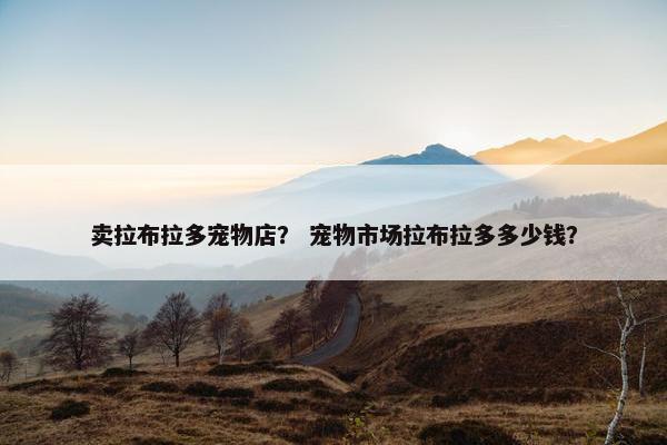 卖拉布拉多宠物店？ 宠物市场拉布拉多多少钱？