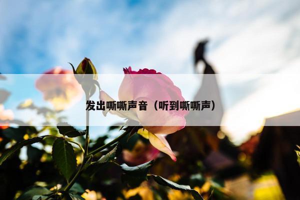发出嘶嘶声音（听到嘶嘶声）