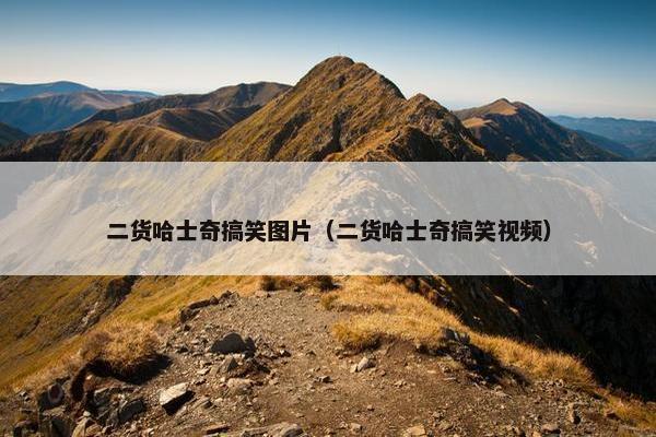 二货哈士奇搞笑图片（二货哈士奇搞笑视频）