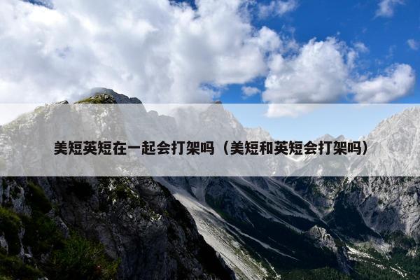 美短英短在一起会打架吗（美短和英短会打架吗）