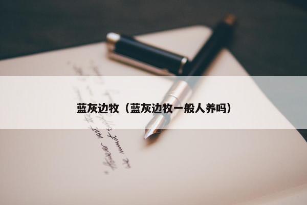 蓝灰边牧（蓝灰边牧一般人养吗）