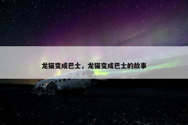 龙猫变成巴士，龙猫变成巴士的故事