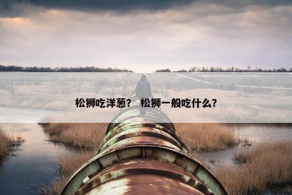 松狮吃洋葱？ 松狮一般吃什么？