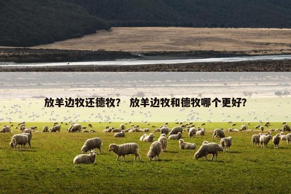 放羊边牧还德牧？ 放羊边牧和德牧哪个更好？