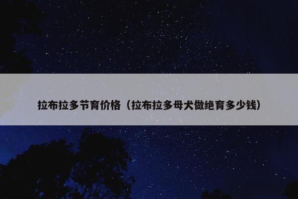拉布拉多节育价格（拉布拉多母犬做绝育多少钱）