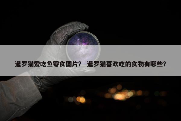 暹罗猫爱吃鱼零食图片？ 暹罗猫喜欢吃的食物有哪些？