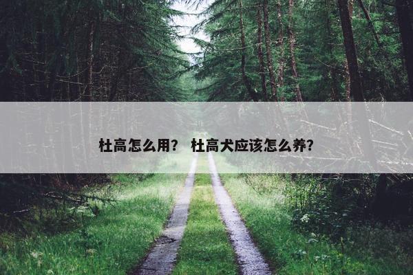 杜高怎么用？ 杜高犬应该怎么养？