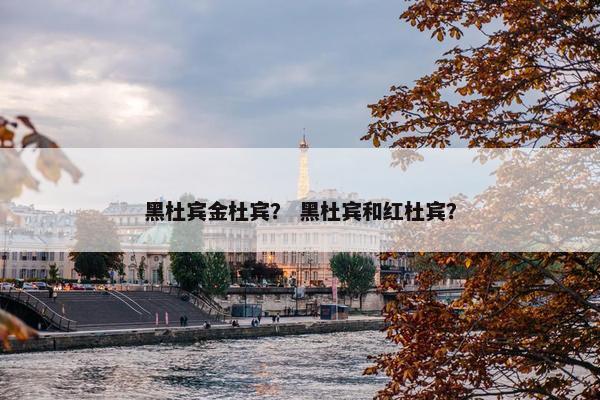 黑杜宾金杜宾？ 黑杜宾和红杜宾？