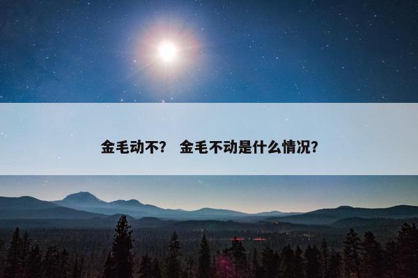 金毛动不？ 金毛不动是什么情况？