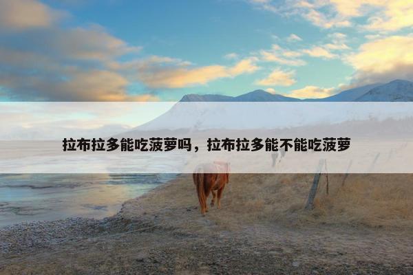 拉布拉多能吃菠萝吗，拉布拉多能不能吃菠萝