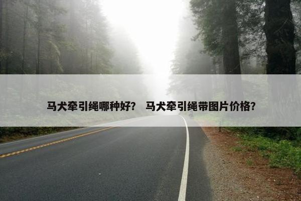 马犬牵引绳哪种好？ 马犬牵引绳带图片价格？