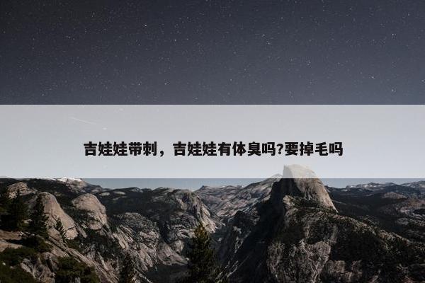 吉娃娃带刺，吉娃娃有体臭吗?要掉毛吗