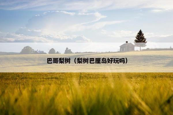 巴哥梨树（梨树巴厘岛好玩吗）