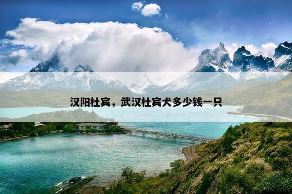 汉阳杜宾，武汉杜宾犬多少钱一只
