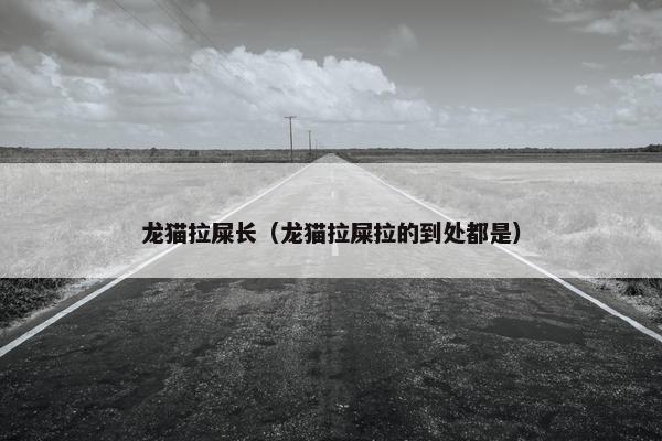 龙猫拉屎长（龙猫拉屎拉的到处都是）