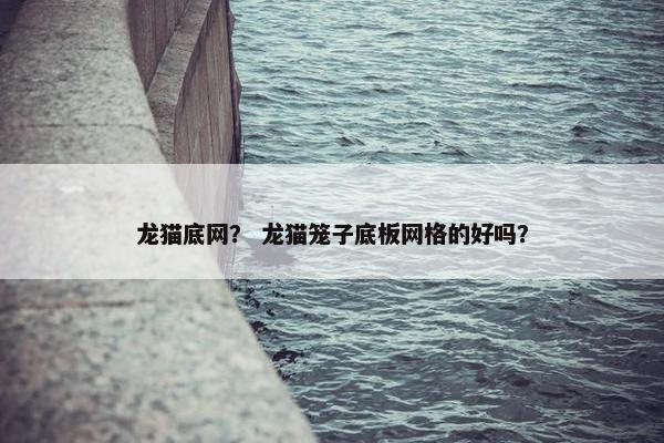 龙猫底网？ 龙猫笼子底板网格的好吗？